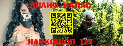 тгк Славгород